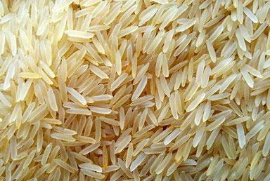 1509 Sella Rice