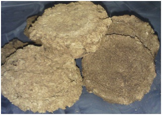 Sripad Cow Dung Cake