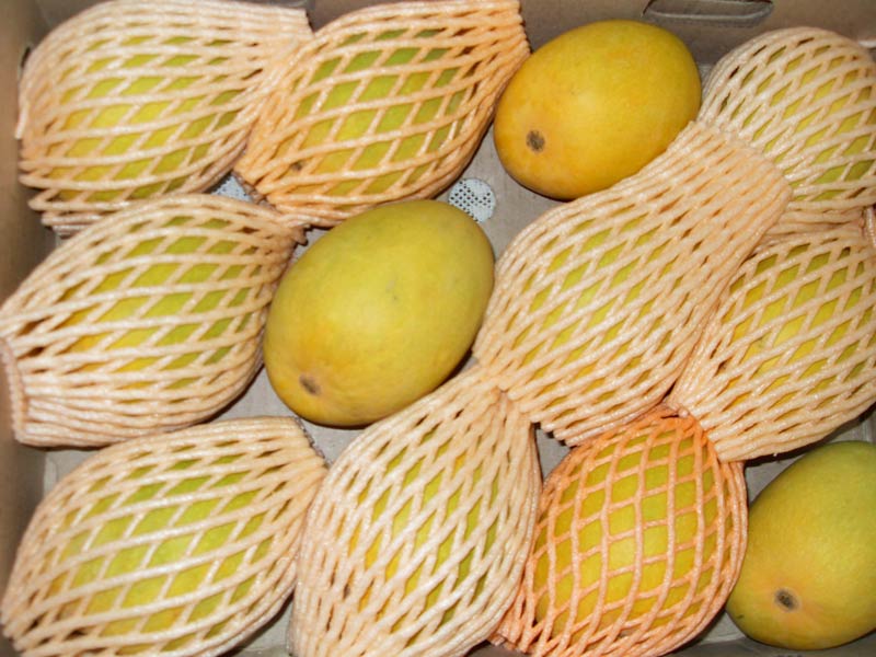 Fresh Fruit - Alphonso Mango
