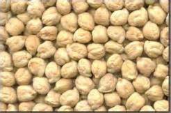 White Chickpeas