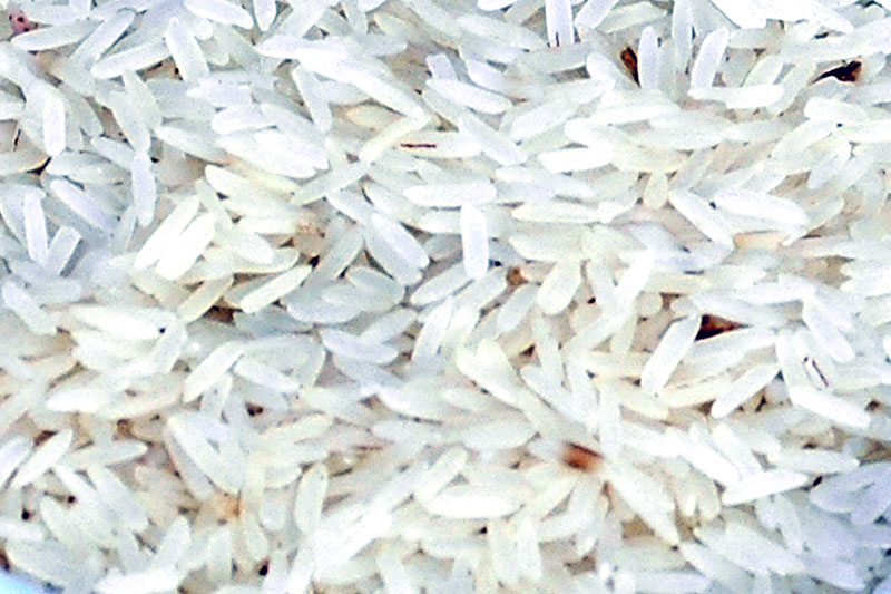 Traditional Basmati Rice