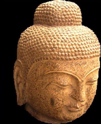 Lord Buddha Head Sculpture