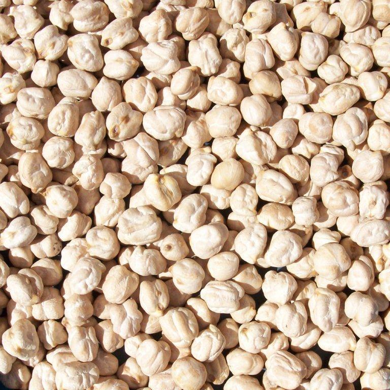 Chickpeas Seed