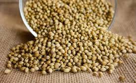 coriander seeds