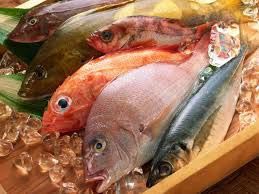 Frozen Fish Meat