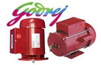 Foot and Flange Motors