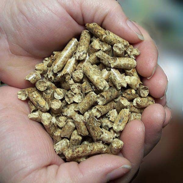 Dry Wood Pellet 8mm