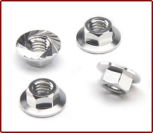 Flange Nuts