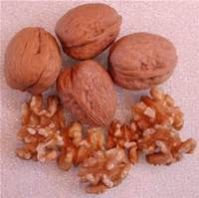 Peanut Kernels