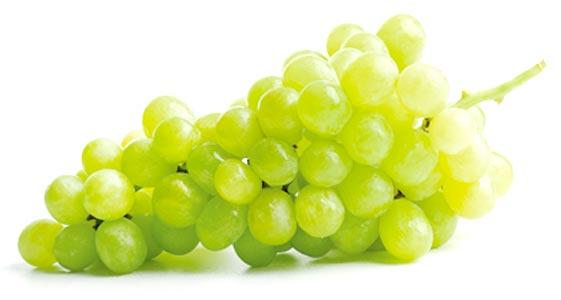 fresh grapes