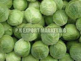 fresh cabbage