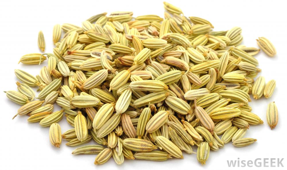 Fennel  Seeds