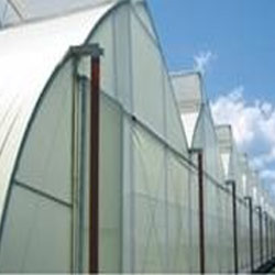 Greenhouse Covering Film
