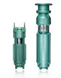 Deccan Open Well Submersible Pumps