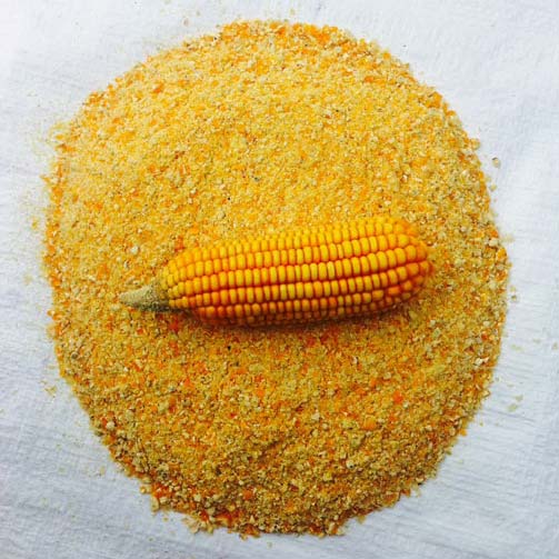 Feed Maize