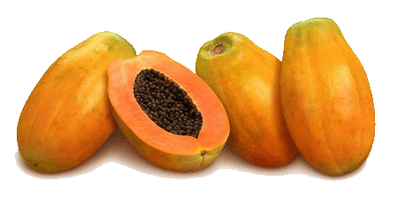 Fresh Ripe Papaya