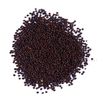 mustard seeds