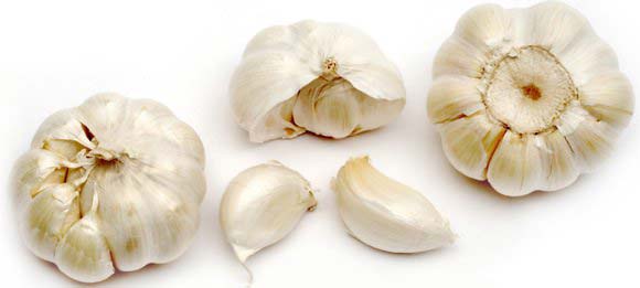 Organic garlic, Packaging Type : Gunny Bags, Plastic Bags