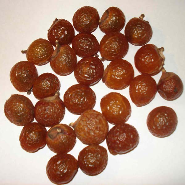 Dried Soap Nuts, for Cleansing Lotion, Form : Shell