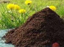 Bio Organic Manure