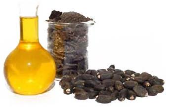 Organic Jatropha Oil, for Cooking, Medicinal, Style : Liquid