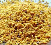 Bee Pollen