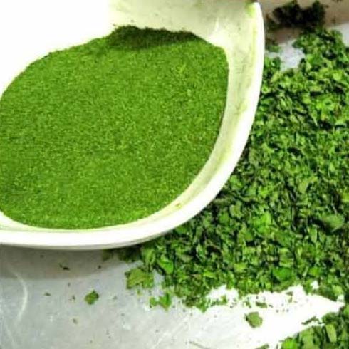 Common Moringa Dry Leaves, for Medicine, Feature : Exceptional Purity, Good Quality, Highly Effective