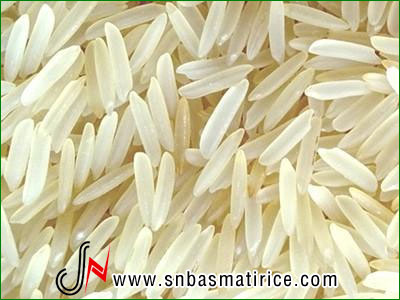 Common Soft Pusa Sella Basmati Rice, Packaging Size : 1Kg