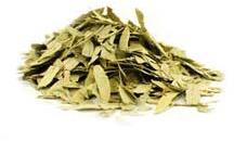 Common Dried Senna Leaves, Packaging Type : Plastic Paper Packet
