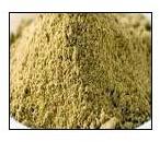 Organic Coriander Powder, Packaging Type : Plastic Bag, Plastic Box