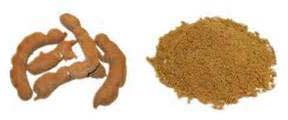 Brown Tamarind Kernel Powder