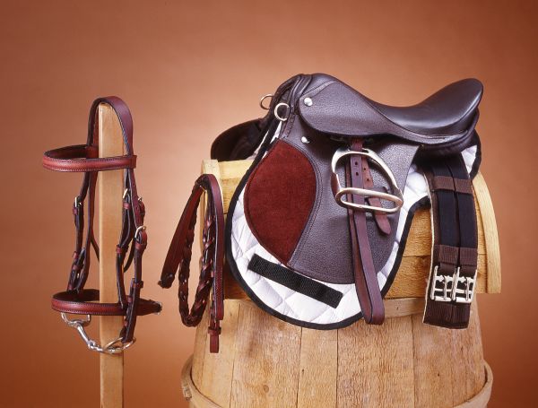 Horse saddle English saddle with Bridle and girth