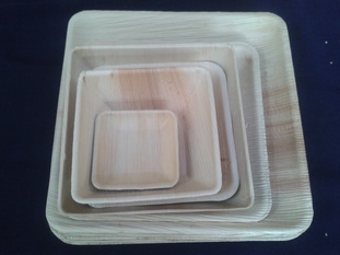 areca leaf plate