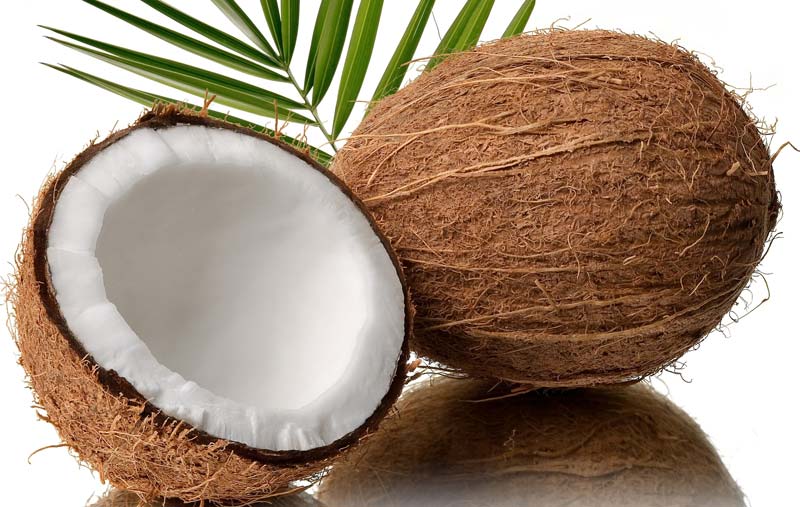 Soft Natural Fresh Coconut, for Cosmetics, Medicines, Feature : Freshness, Good Taste