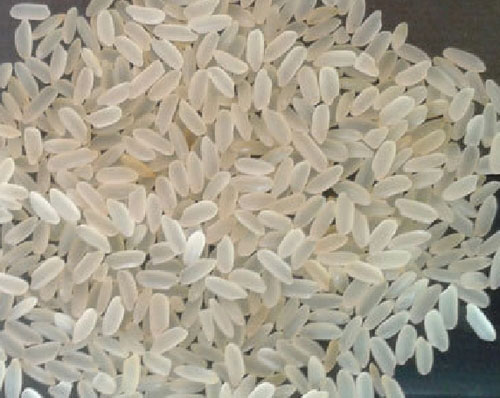 Organic Soft Masoori Boiled Rice, for Human Consumption, Packaging Type : Jute Bags, Plastic Bags