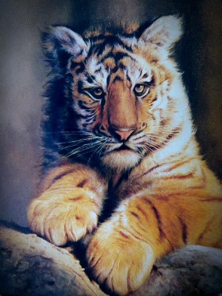 Lion cub oil on canvas wildlife paintings