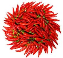 Fresh Red Chili