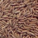 indian cumin seeds