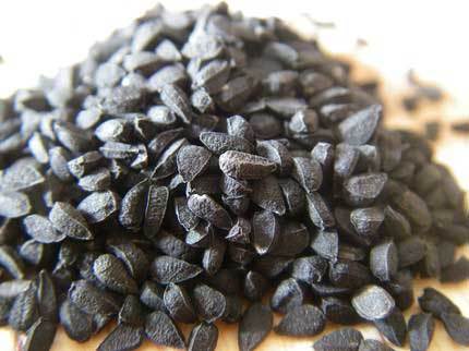 Indian Nigella Sativa Seeds
