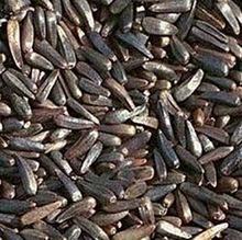 Indian Niger Seeds