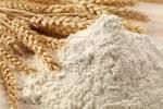 wheat flour