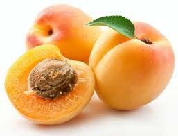 Tunisian Apricot