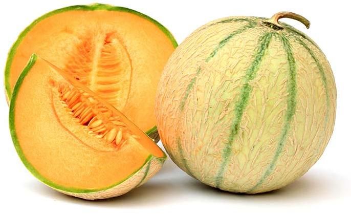 Tunisian Melon