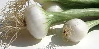 Tunisian Onion