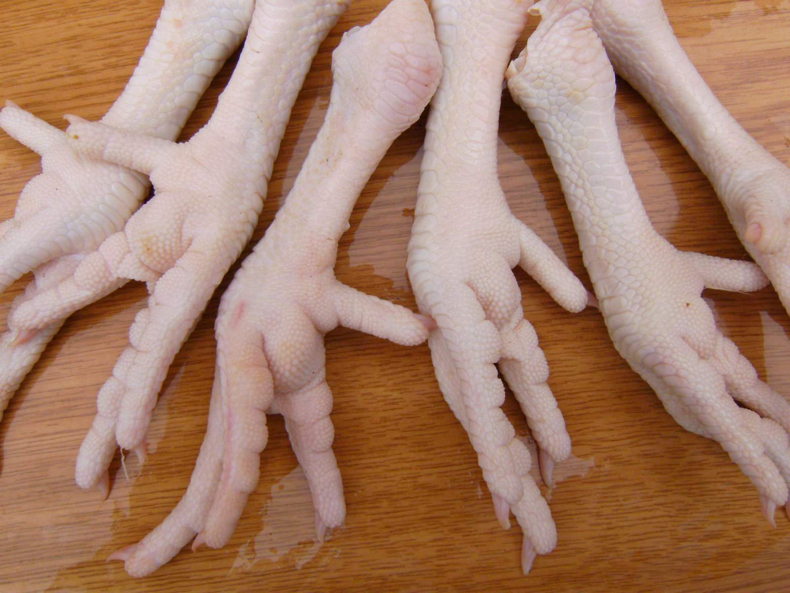 Grade A Frozen Chicken Feet, Paws and Other Parts Available