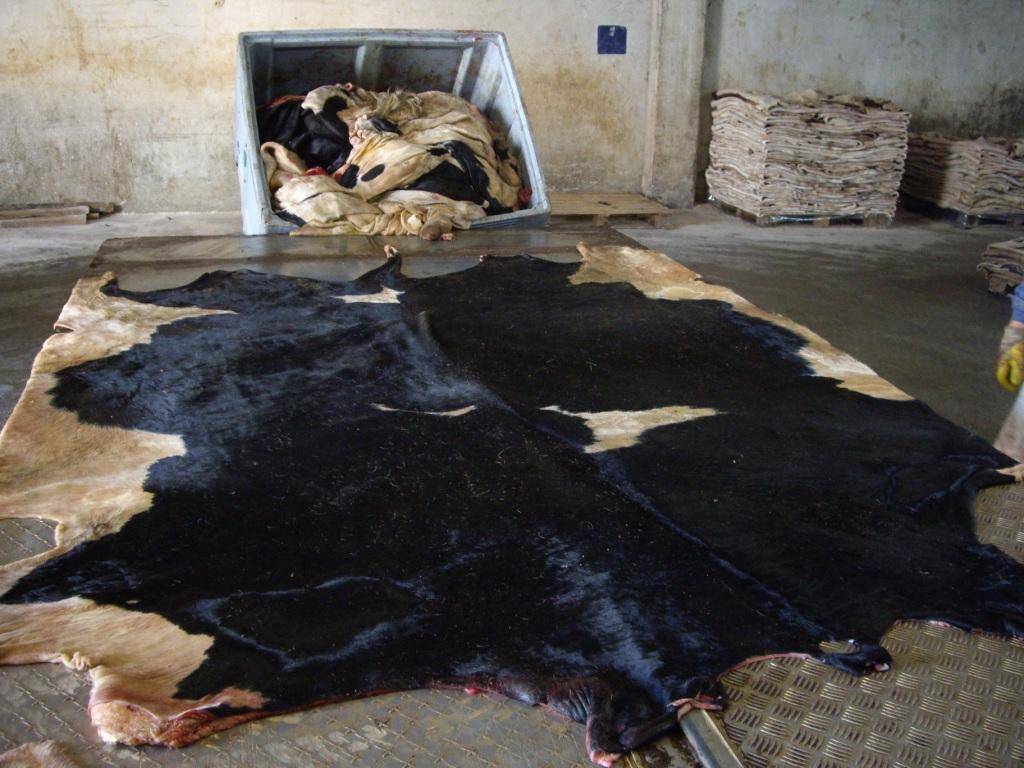 Wet Dry Salted Cattle HIdes, Donkey HIdes, Sheep Hides