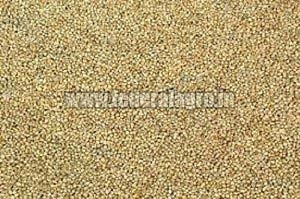 Organic A Grade Millet Seeds, for Cattle Feed, Packaging Size : 25kg, 50kg