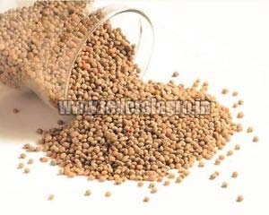 Organic A Grade Sorghum Seeds, for Cooking, Feature : Best Quality, Full Of Proteins, Rich In Taste