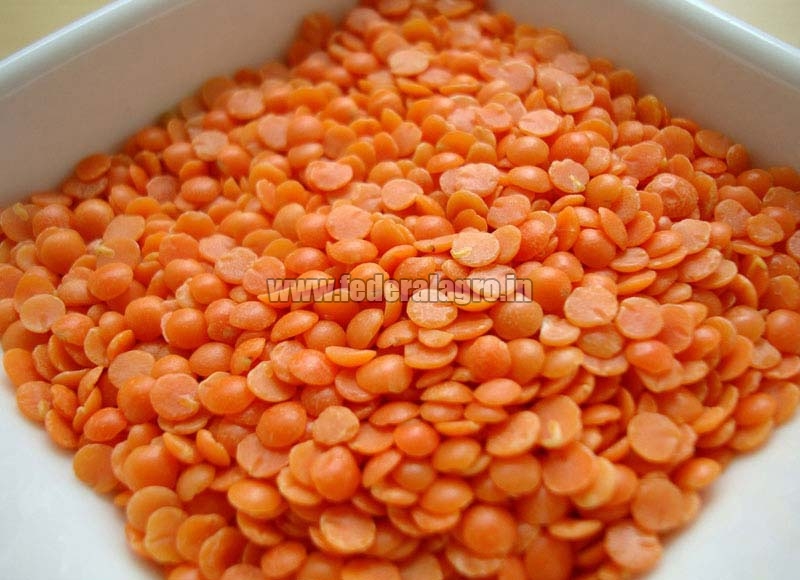 Organic masoor dal, Shelf Life : 1year