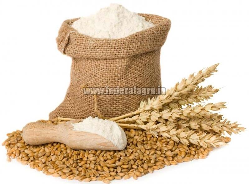 Organic Wheat Flour, for Cooking, Packaging Size : 25-50kg